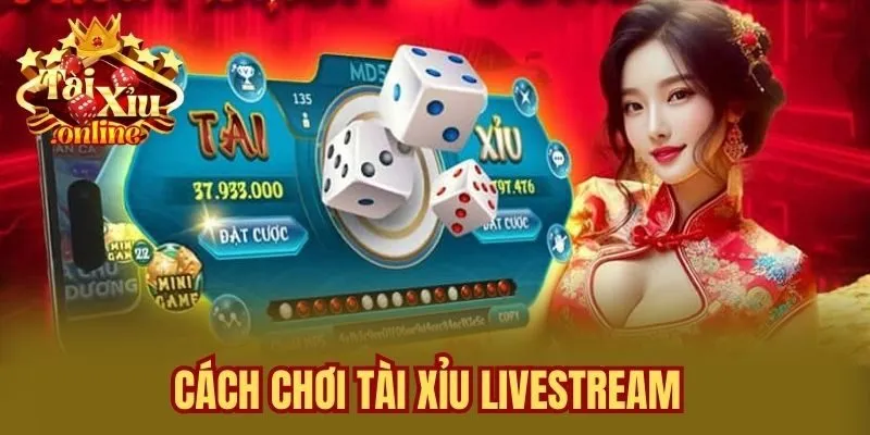 Cách chơi Tài Xỉu Livestream