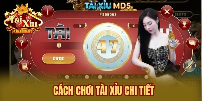 Cách Chơi Tài Xỉu Chi Tiết